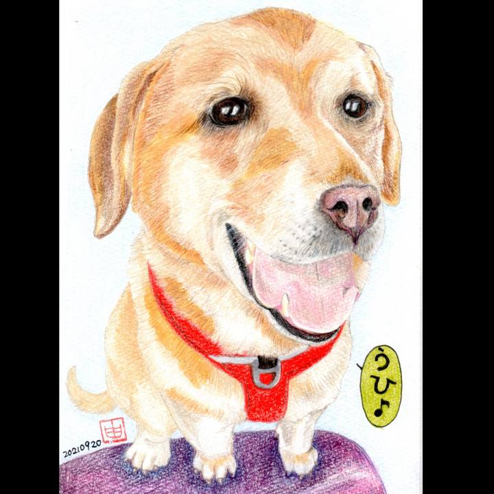 61c7ff1e 3079 47ad b098 a12be4bdeb31 1632135646394