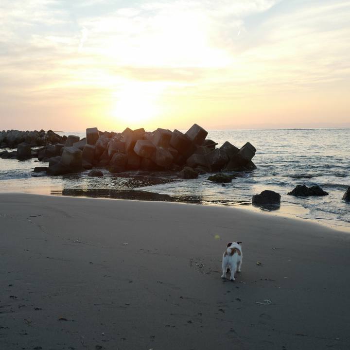 61c80fbb d1fb 44de bf80 f2ebc4e180a4 1520144467541