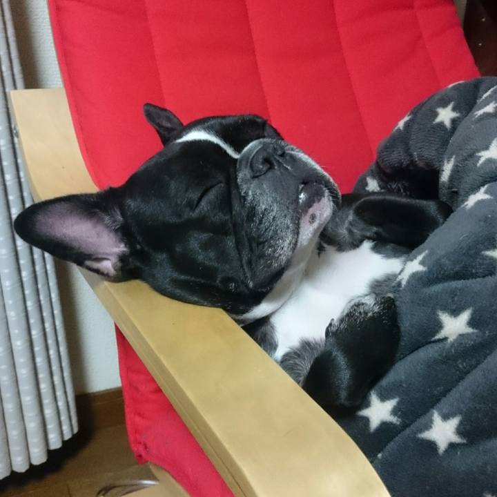 61c861cc 6e51 4099 a41b 4d191f750092 1523188486659