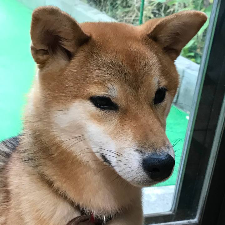 61c87983 7f3f 49fe 9d82 ee155d828e44 1534121526570