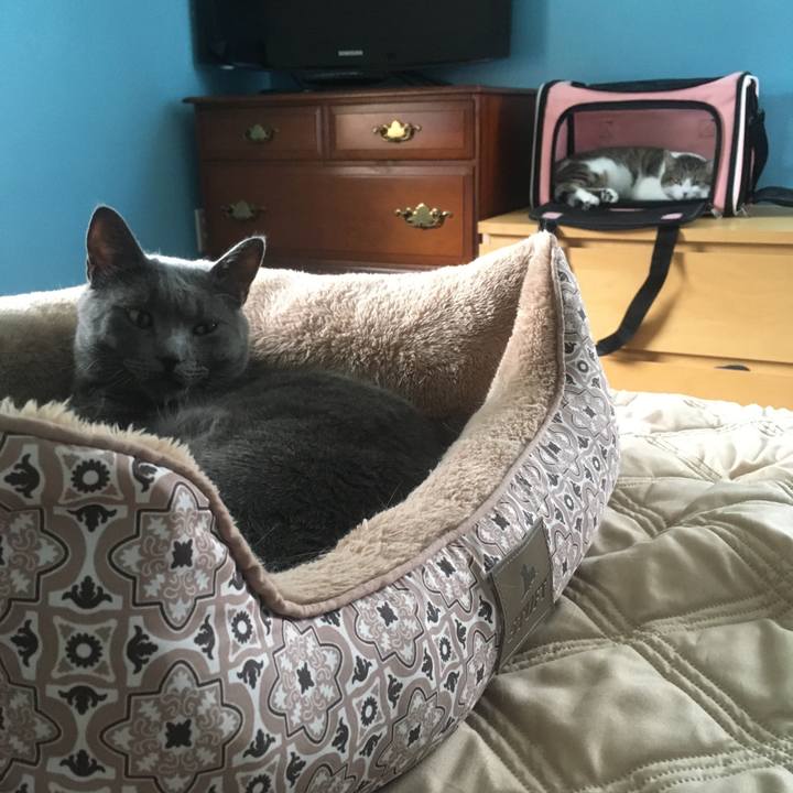 61c88f99 4165 44a0 a527 54f72ab06f8d 1633653839969