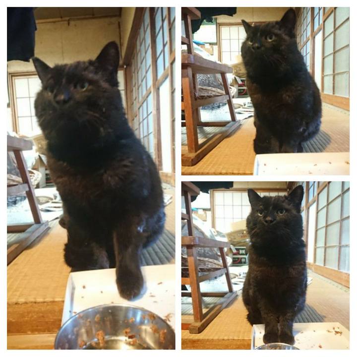 61c8c0dd 6041 4457 bc3d 4aebada0dc86 1617787342634