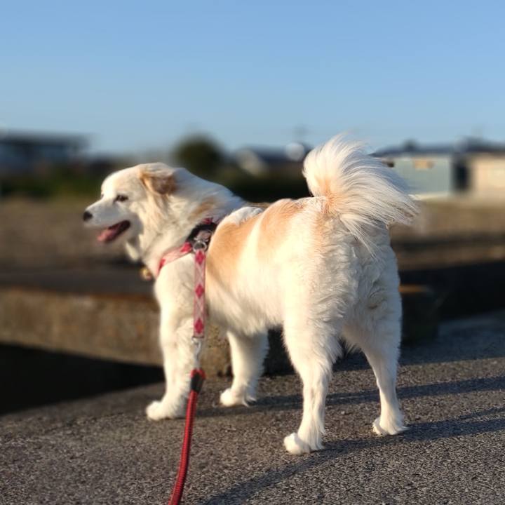 61c8ea2b 5186 4677 8f48 fb9fbae8ff41 1648371045664