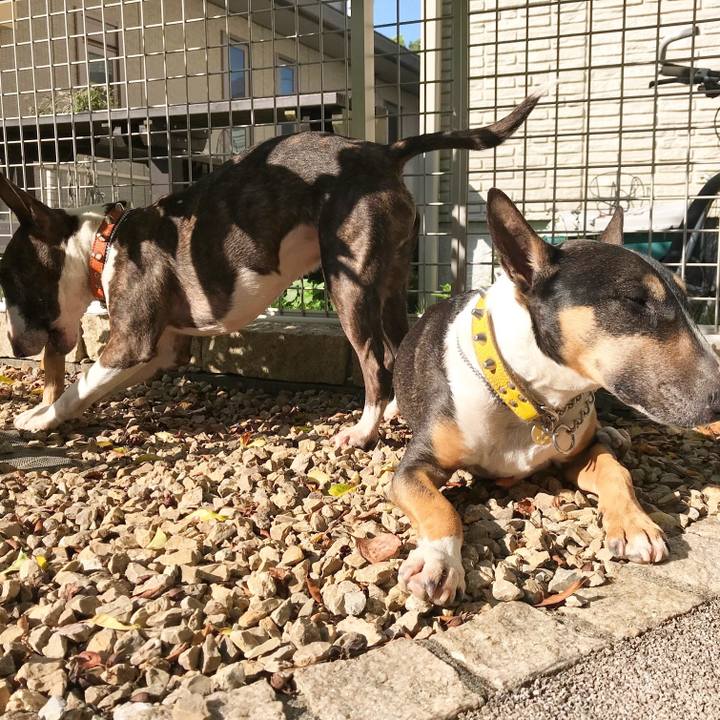 61c8fa85 b539 4571 bfdd f6c7a2544afd 1525410125571