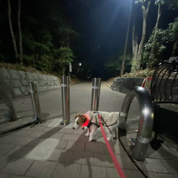 61c90786 68c7 45b7 9e05 698e5355f671 1740315429491