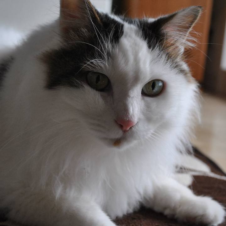 61c917f4 5fee 4d07 b84b 7caddae826aa 1692142116150