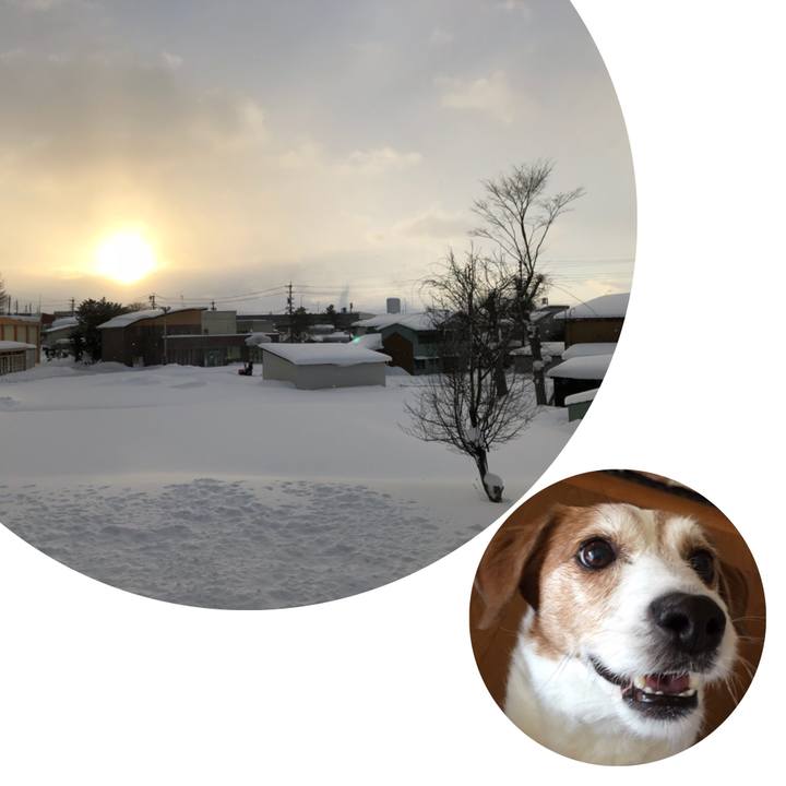 61c91847 3232 4c37 a031 ed38ab8ec955 1514589220425