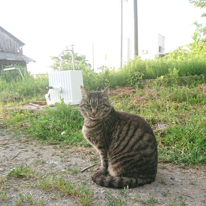 61c91fdf 73bb 40ca 9809 8fe9edb6aa1e 1654289149856