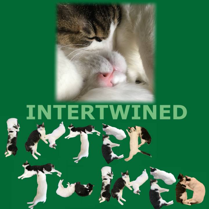 61c948c0 43e8 4f3c 8667 0dbcc35b0b61 1667863908539