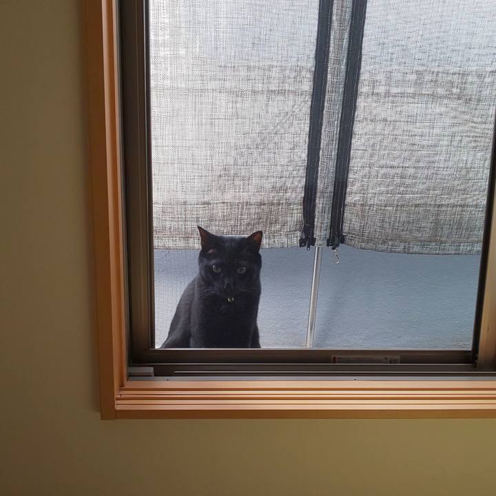 61c98064 e600 4ef3 a251 55c42477a6d4 1588663479719