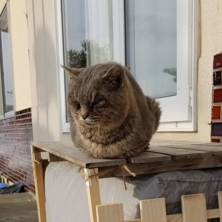 61c9aa56 8e62 4ccd be3b eb6fa8d7c6bb 1545484414227