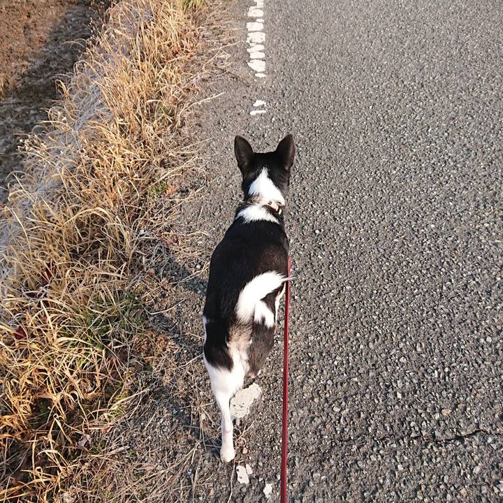 61c9bc28 5a13 484a 84b8 cee3630e4269 1519618609432