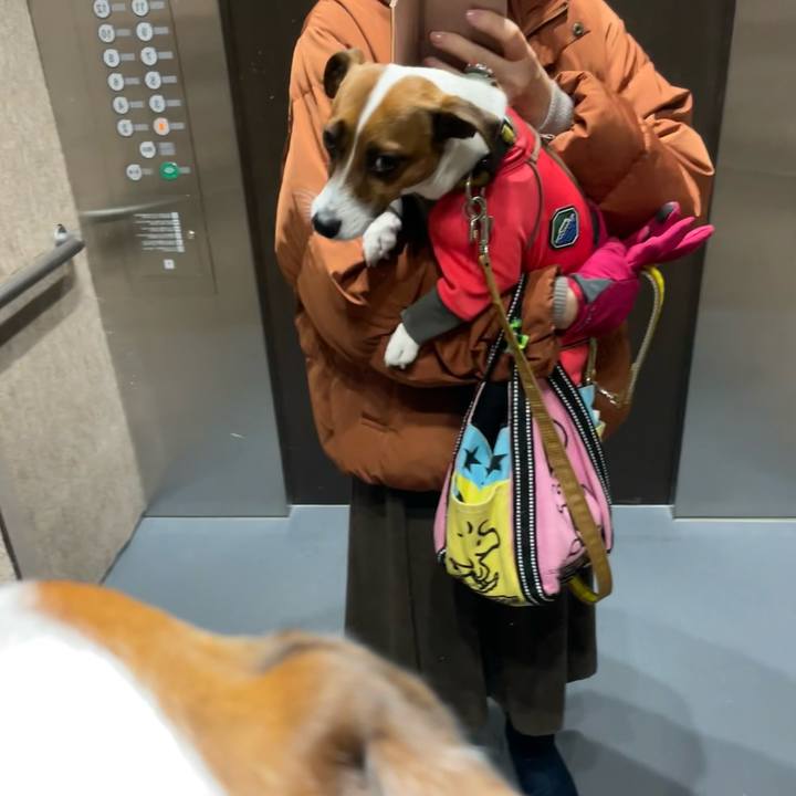 61c9ce84 1724 42f2 9555 f0dd6cdb69bc 1643612688503