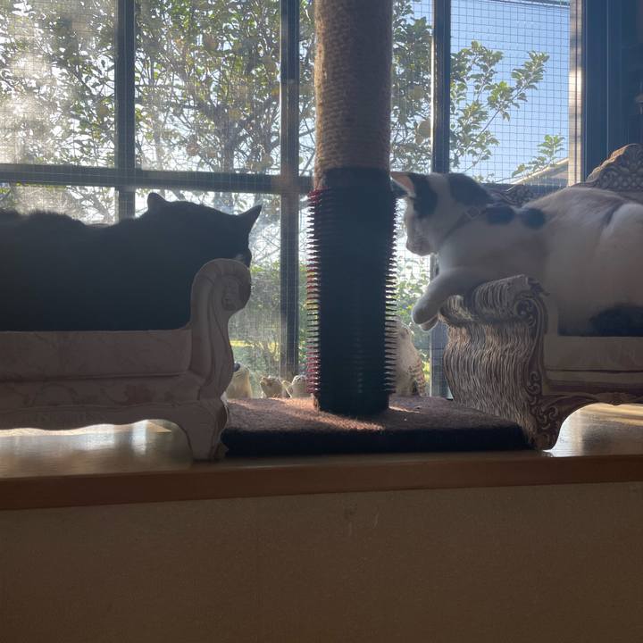 61c9e7a3 de81 4056 b680 66c697500d87 1697149337975