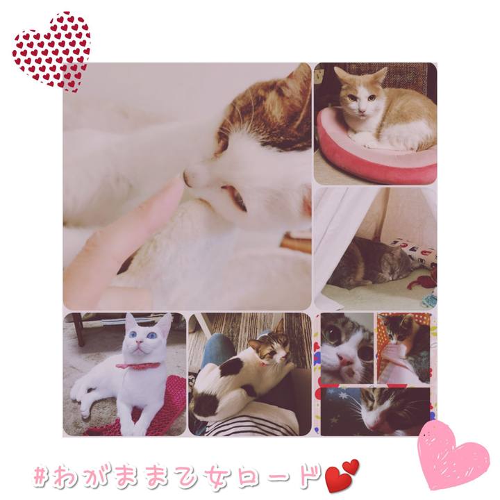 61c9f4b6 351b 42e2 824d b5f4248d1ca5 1568982566501