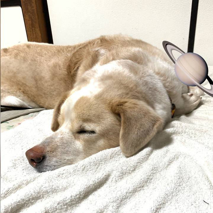 61ca29c7 81b3 43b1 ab9d 28ecf7d398bd 1585666119947