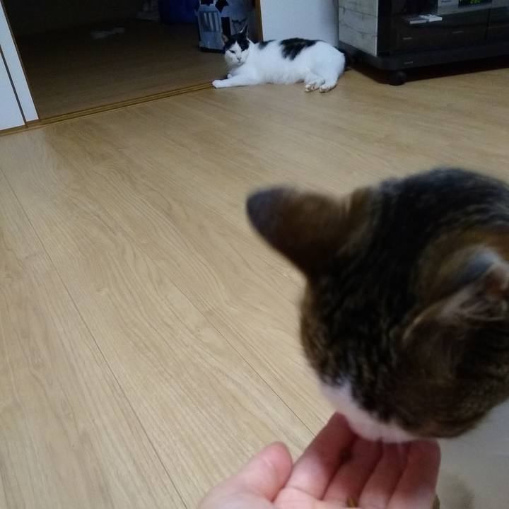 61ca6f1c 7a68 4e92 8cd2 796c703c5a18 1563450119443