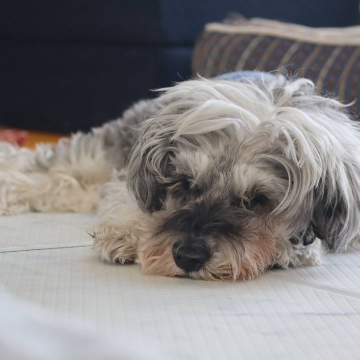 61caa028 a51f 4bae be41 cd65ef7fee5b 1774333468975