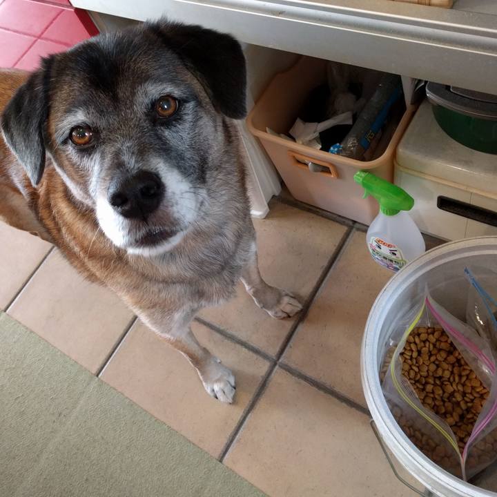 61cac488 0b64 477e b87b 5fab1b459231 1700180045464