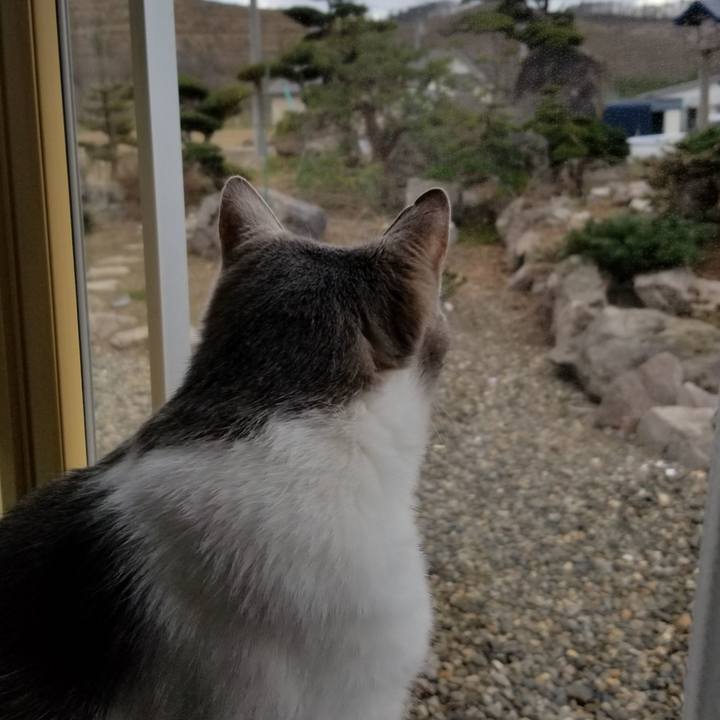 61caea54 cfe2 495e 99d4 05f466aa68a9 1650807070184