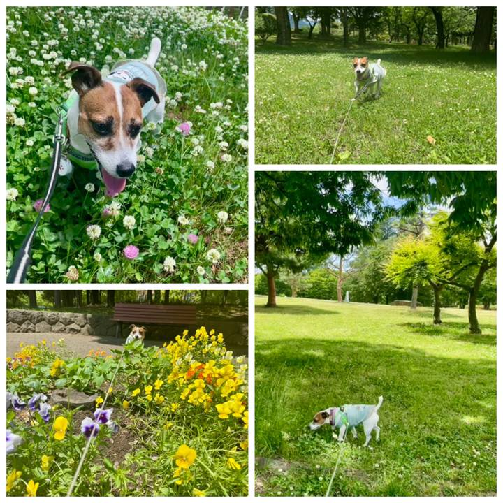 61caef11 7a5b 46e9 bd1b d2a586e14281 1749021243449