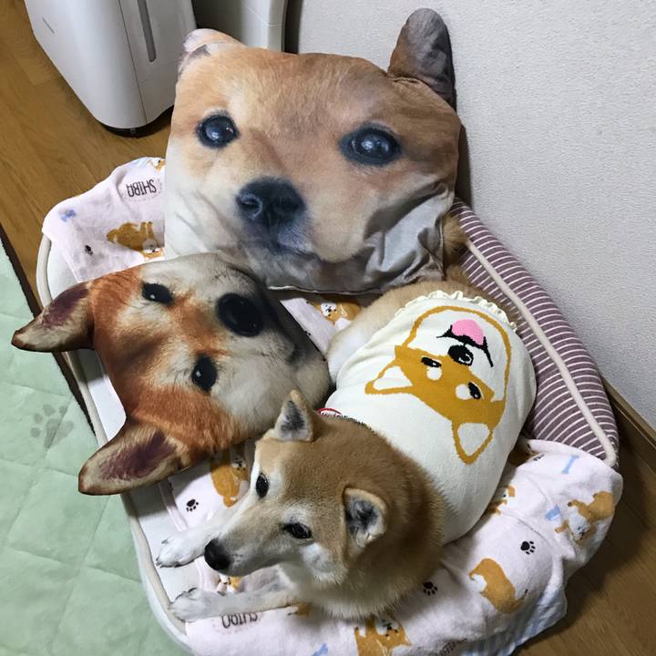 61cb3905 5a15 4218 9f38 253f2be9fb26 1540544434233