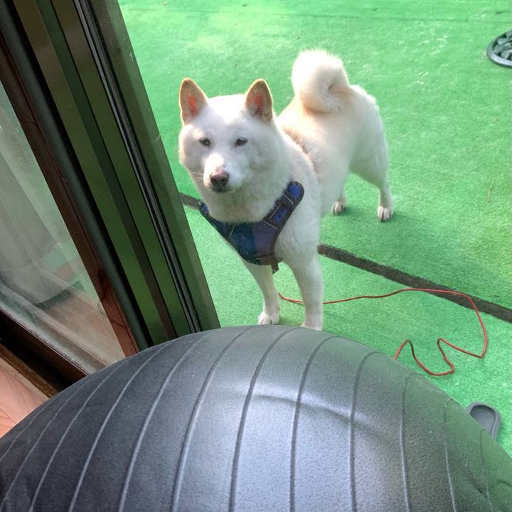 61cb5ec7 b9af 4003 b6c0 e660a984b0f7 1631337224354