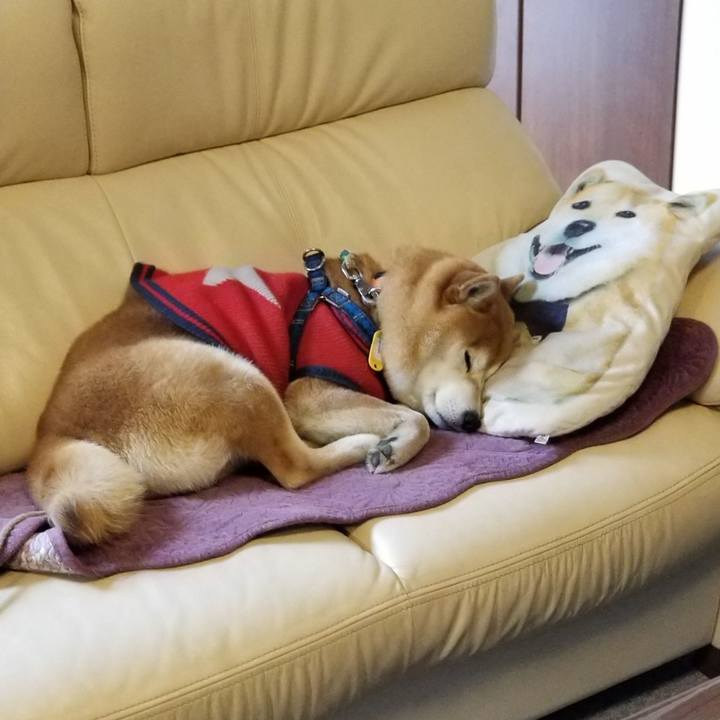 61cb6708 271c 4aaf a597 4aaf55f33ddd 1552280883432