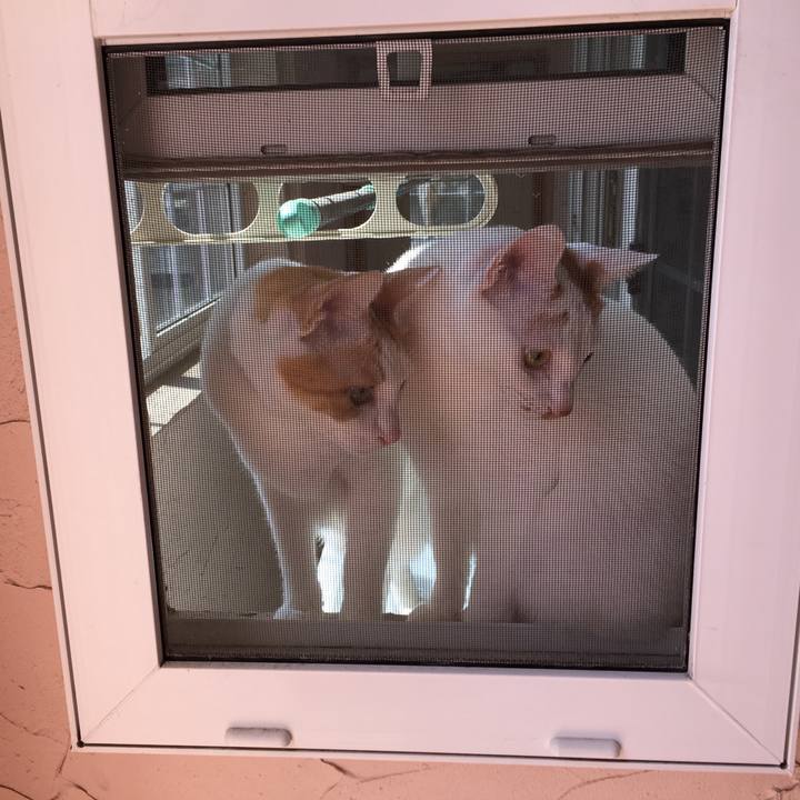 61cb7273 c609 4237 862b 2819b1460d57 1520743684419