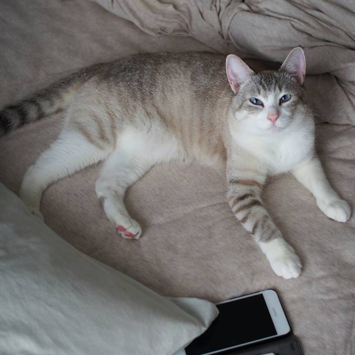 61cb7639 0b1a 4fb9 a9bc 780267aa3ba7 1530583857998