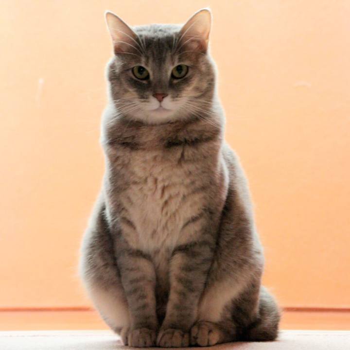 61cb890b f592 406c bd95 b6c67eba4ca1 1540614597095