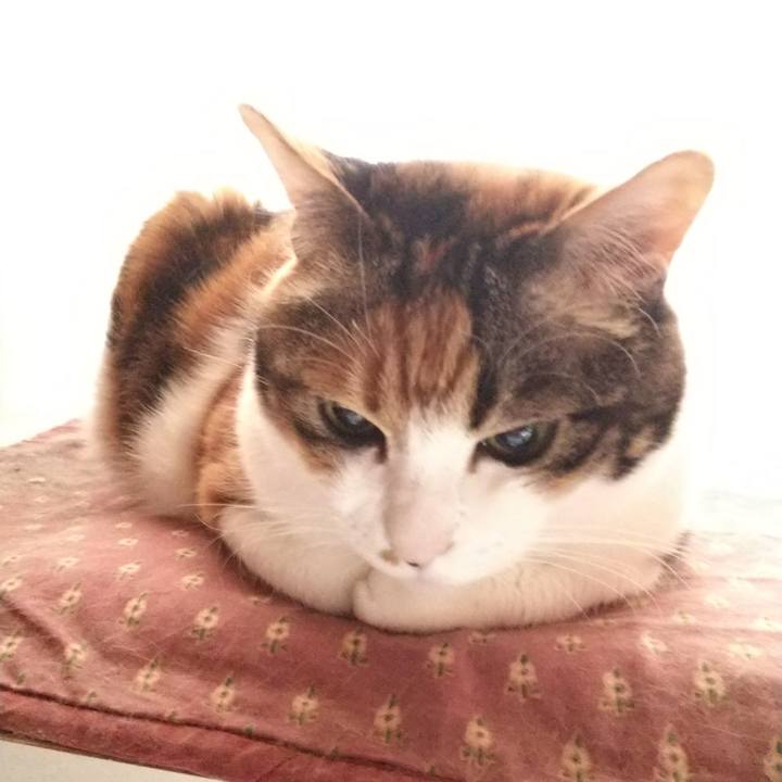 61cbbc2d 7ff3 4b05 907a 308508f441b2 1555450899383