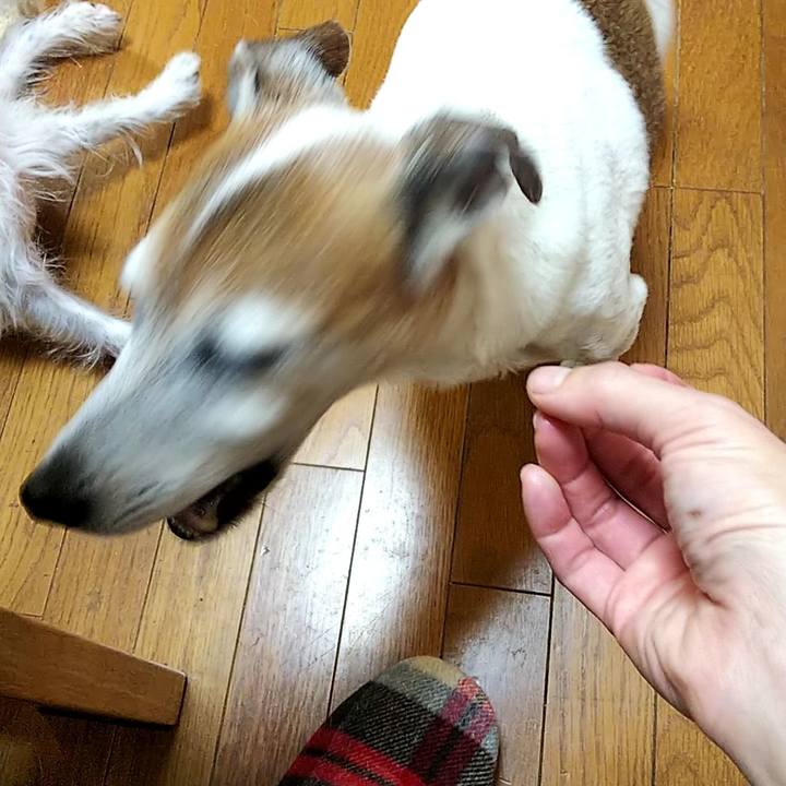 61cc15e3 b81d 4f8a 8e23 1ebe743d900a 1544394123280