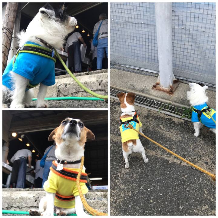 61cc1606 674b 4ac0 8b59 5164418c7fa2 1529116720160