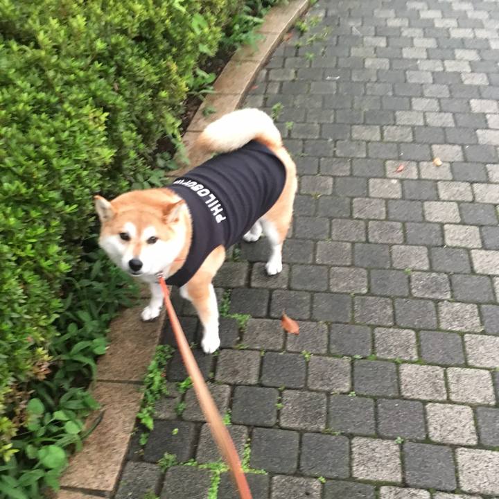 61cc3143 220d 4335 aa4e d8e731bb7432 1563099428306