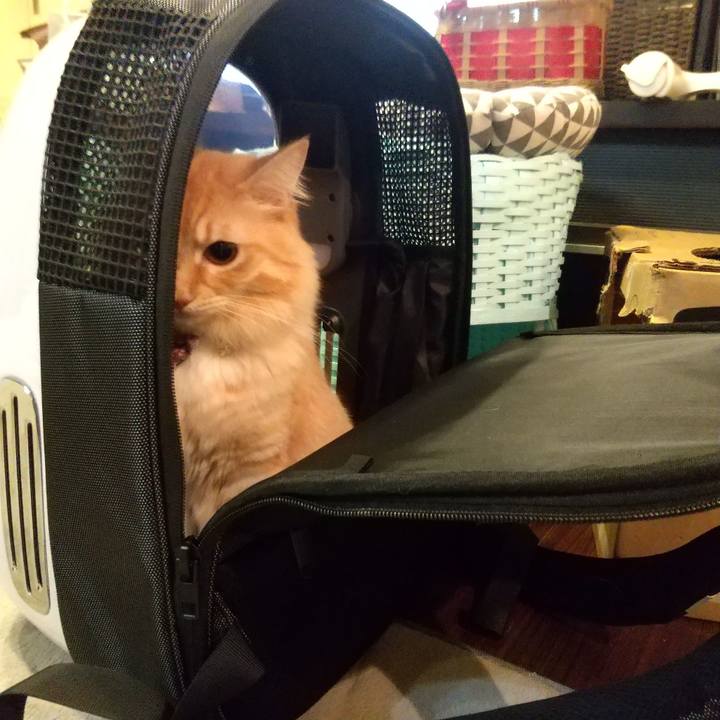 61cc4e47 707e 4076 95c8 31e23f2c87f1 1637236360140