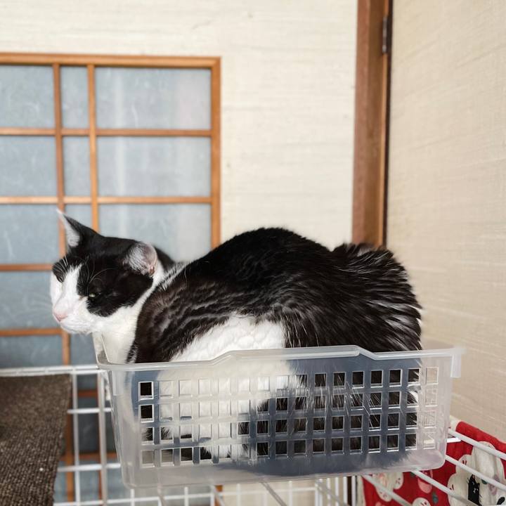 61cc8ebd eeab 45f3 a10f 8c7fd00e452f 1662344529655