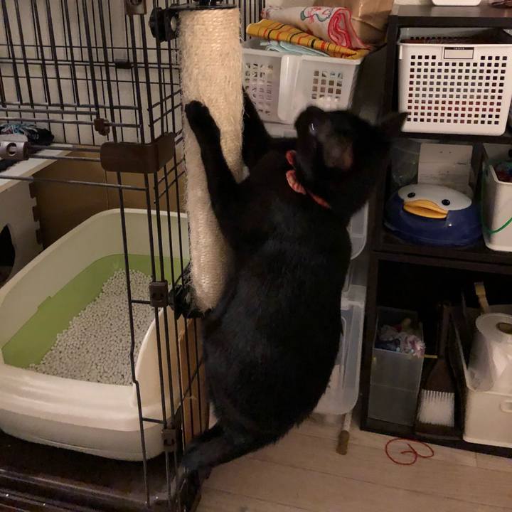 61cca2cf 44a4 48b5 b871 3c603e36b9a8 1509184860266