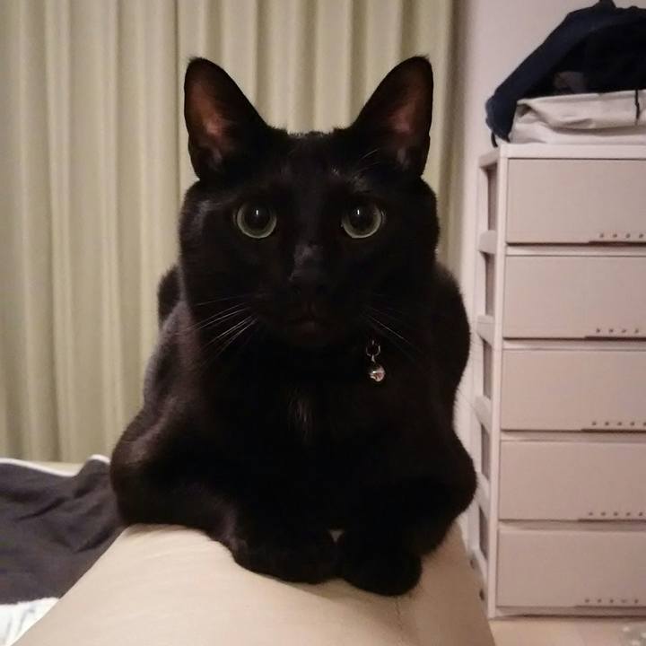 61cca76d e37f 4b16 bf62 67be6fb2119c 1545214337780