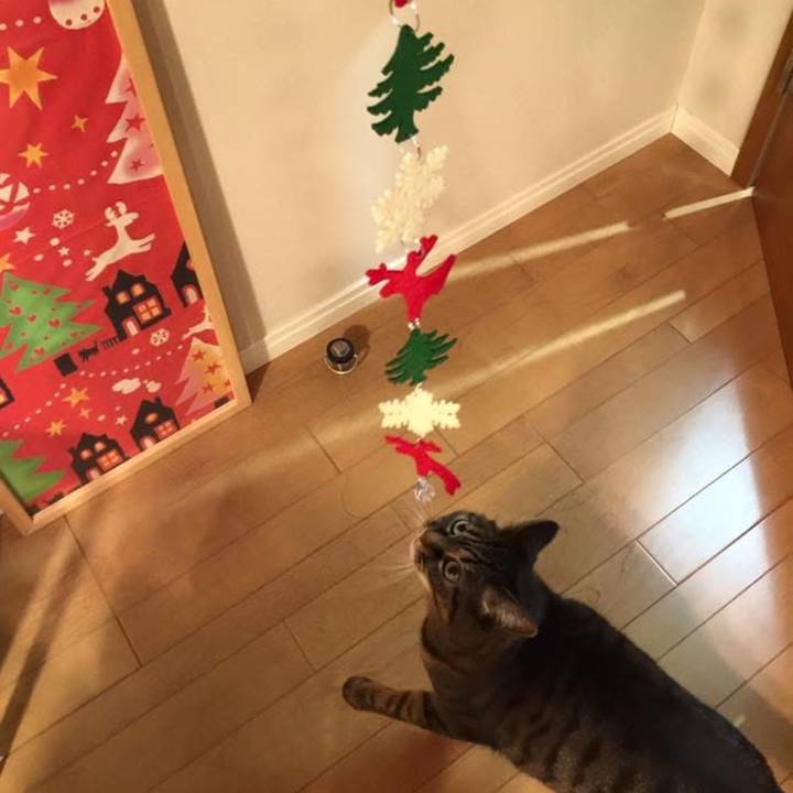 61cd1253 f9c6 4d47 bab9 b22da714acc7 1765934802660