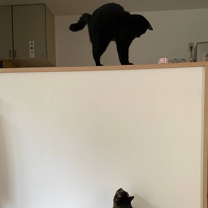 61cd2e3c f314 4b6d a293 881039a61d18 1631445404709