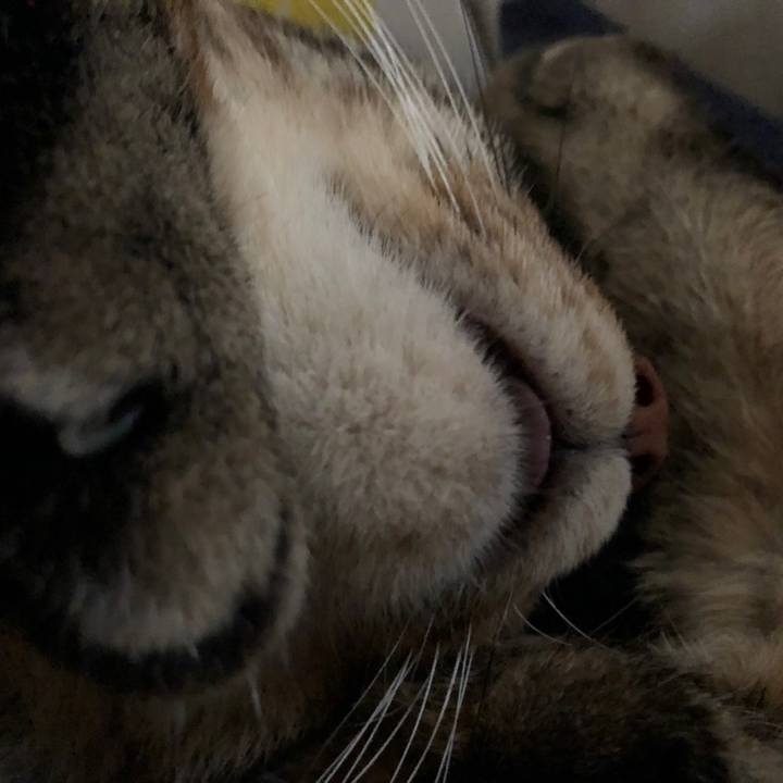 61cd2ef8 1fc9 4e5c 850f 9ad7130122a9 1567257032574