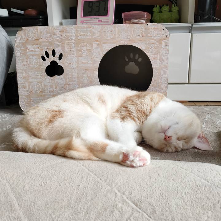 61cd58e4 e39b 41b2 ac45 13877f31089f 1684111225965