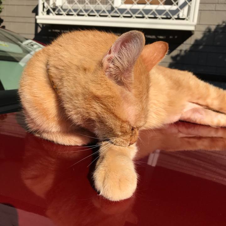 61cd6e00 ff15 4f4d befb 2e6ad2e38e71 1509670446393