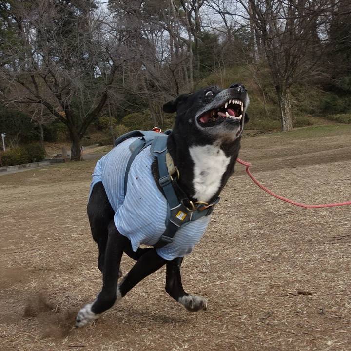 61cd9285 de8e 4997 9b33 8b1ce3f4d4a0 1740702449087