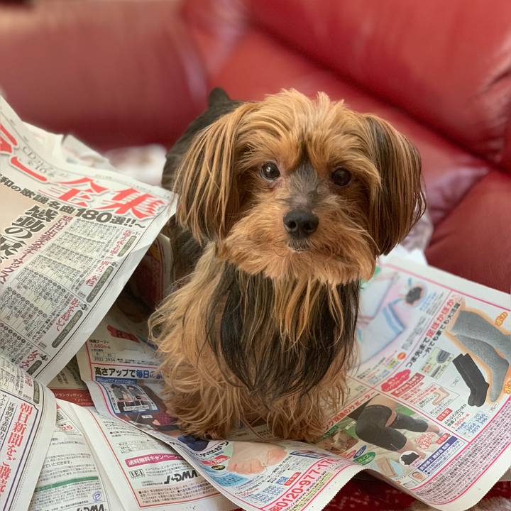 61cdef25 1fc7 40a5 927a a7e60cbbb2e1 1541201225874