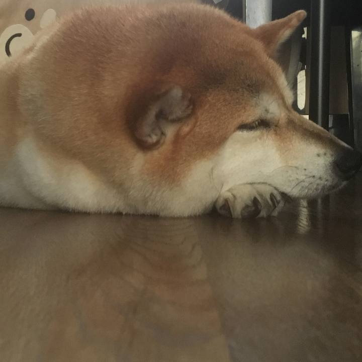 61ce0c18 5638 47da af2f 9a9c24f2a198 1599724873017