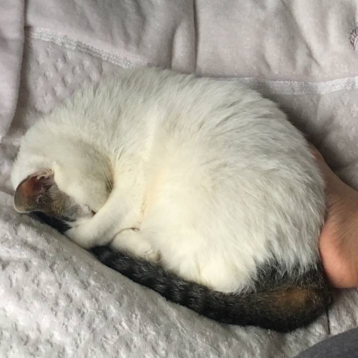 61ce1187 a26f 4b92 b68b c96dd85a109d 1528617174522