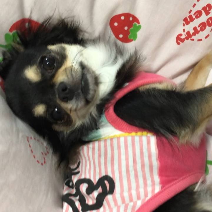 61ce36da 7343 4335 822a 45ed6db17600 1556409271599