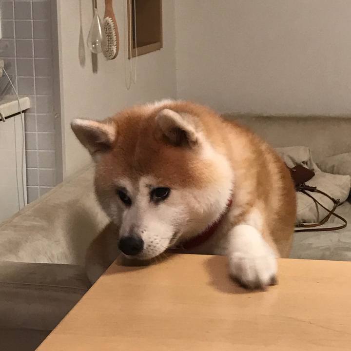 61ce46c0 8187 4694 a00d e0f46adbe031 1508669867986